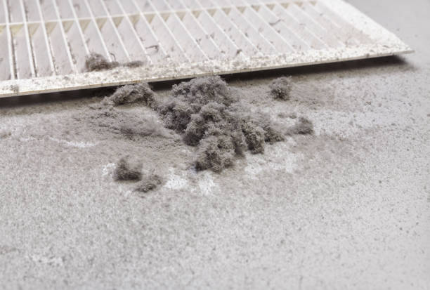 Best Home Air Vent Cleaning  in Cedartown, GA